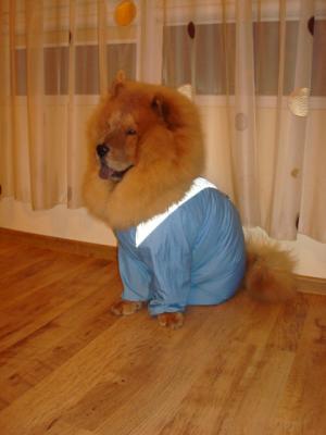 Прикачена снимка