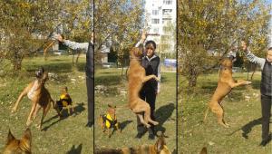 Прикачена снимка