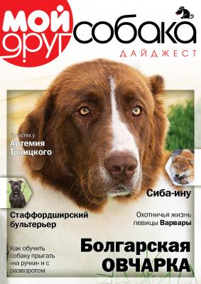 Прикачена снимка
