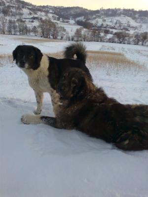 Прикачена снимка