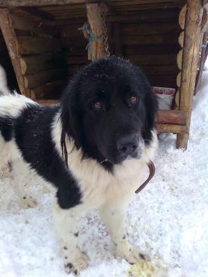 Прикачена снимка