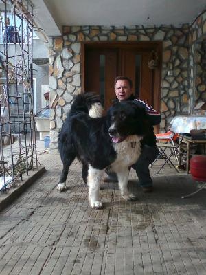 Прикачена снимка