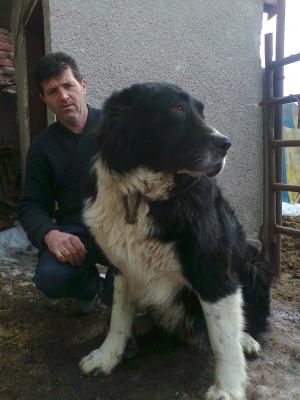 Прикачена снимка