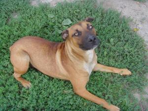 Прикачена снимка