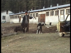 Прикачена снимка