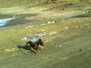 Прикачена снимка