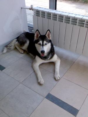 Прикачена снимка