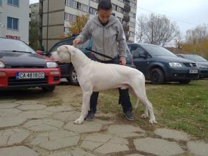 Прикачена снимка