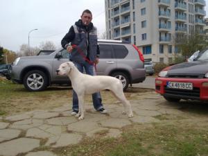 Прикачена снимка