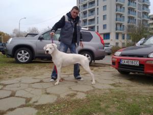 Прикачена снимка