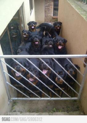 Прикачена снимка