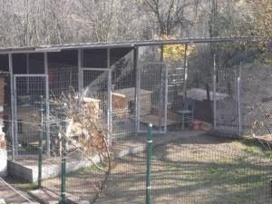 Прикачена снимка