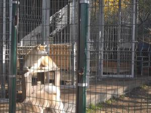 Прикачена снимка
