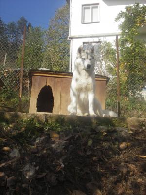 Прикачена снимка