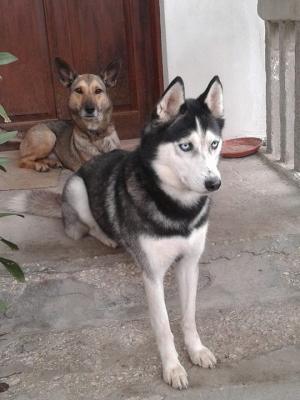 Прикачена снимка