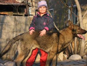 Прикачена снимка
