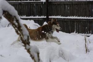 Прикачена снимка