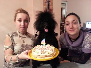 Прикачена снимка