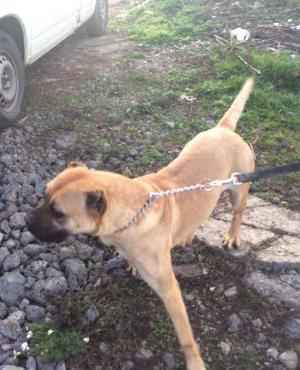 Прикачена снимка