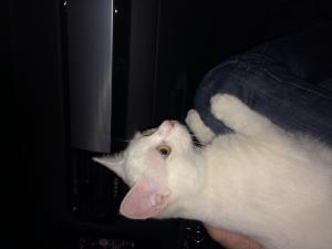 Прикачена снимка