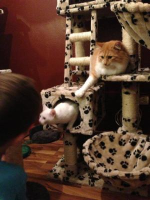 Прикачена снимка