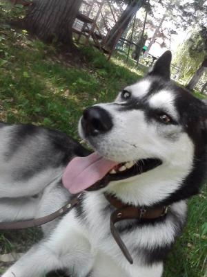 Прикачена снимка