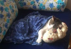 Прикачена снимка