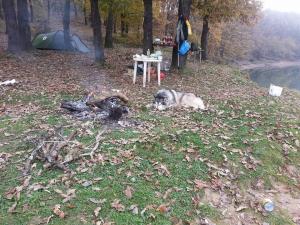 Прикачена снимка