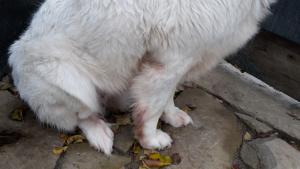 Прикачена снимка