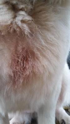 Прикачена снимка