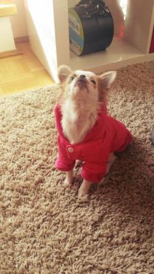 Прикачена снимка