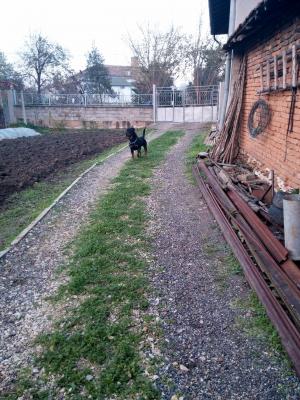 Прикачена снимка