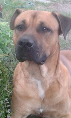 Прикачена снимка