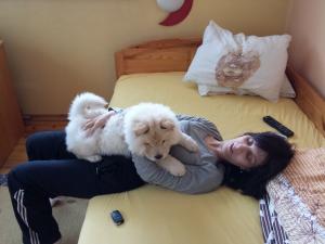 Прикачена снимка