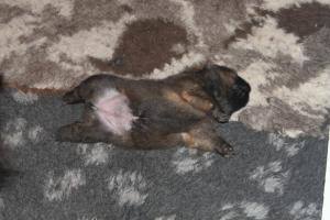 Прикачена снимка
