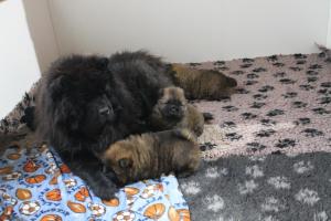 Прикачена снимка