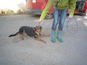 Прикачена снимка