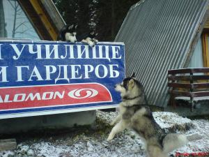 Прикачена снимка