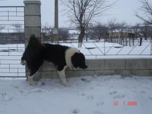 Прикачена снимка
