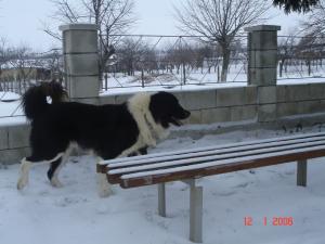 Прикачена снимка