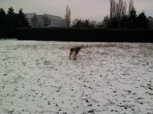 Прикачена снимка