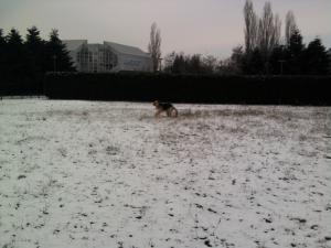 Прикачена снимка