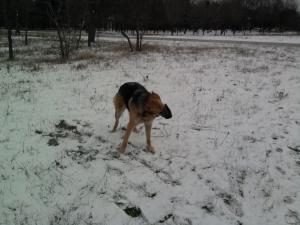 Прикачена снимка