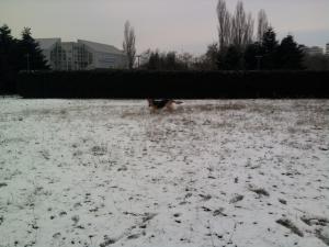 Прикачена снимка