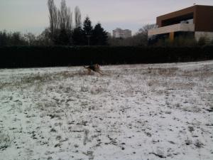 Прикачена снимка