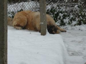 Прикачена снимка