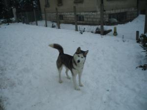Прикачена снимка