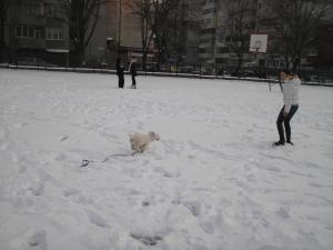 Прикачена снимка