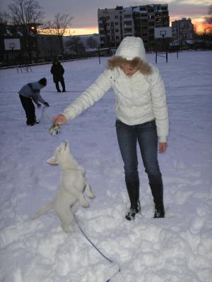 Прикачена снимка
