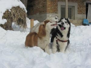 Прикачена снимка